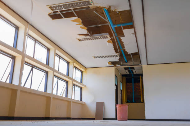 Best Water damage contractors near me  in Venice, IL