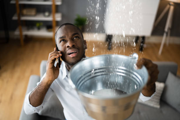 Best Flood damage cleanup  in Venice, IL