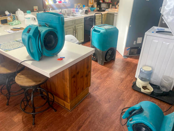 Professional Water damage restoration in Venice, IL