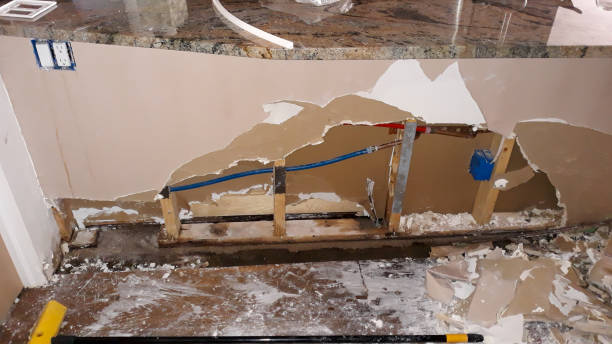 Reliable Venice, IL Water damage restoration Solutions