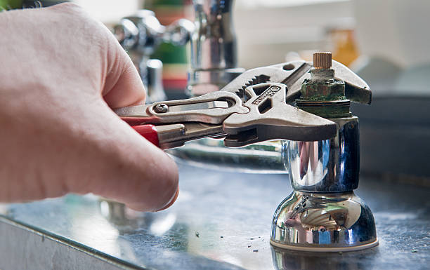 Best Flooded house restoration  in Venice, IL