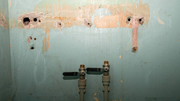 Sewage cleanup and water damage restoration in Venice, IL