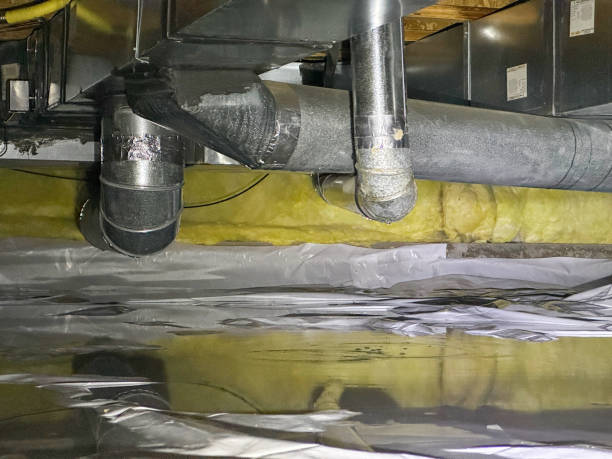 Best Local water damage restoration  in Venice, IL