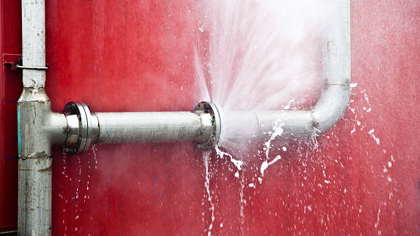Best Local water damage restoration  in Venice, IL