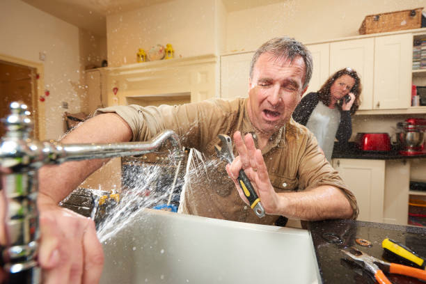 Best Ceiling water damage repair  in Venice, IL